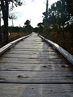 201203 091