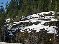 201203A 020