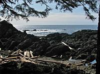 201203A 062