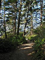 201203A 063