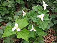 201204 004