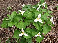 201204 006