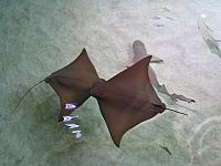 201205A2 1318