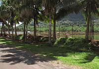 Shrimp farm