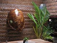 Tortoise shell