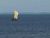 Vaka
