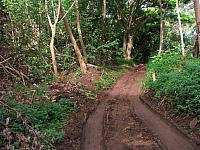 Our path