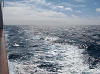 The last day at sea was the roughest!