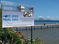 "Love Here Pearl Farm"