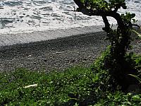 You hear the pebbles rattle back and forth with each wave