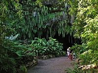 Grotto