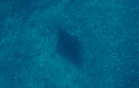 201205J 1324