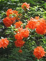201206 013