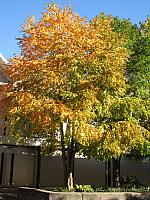 201209Misc 021