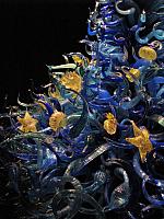 201209Seattle 077