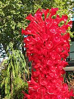 201209Seattle 134
