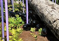 201209Seattle 136