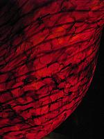 20120922 046