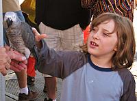 IMG 7060