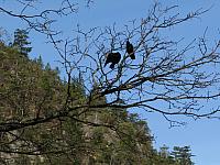 201303BC 003