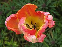 201304 035