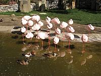 201304 011