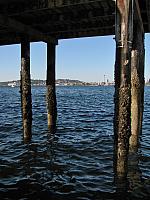 20130503 028
