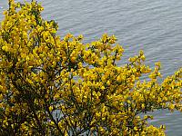 201306 043