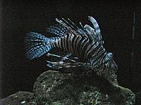 201306 124