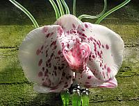 20130601 030