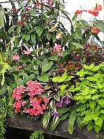 20130601 034
