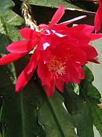20130601 045
