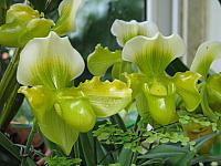 20130601 050