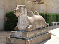 20130601 052