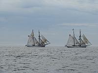 201308SAN 102