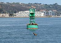 201308SAN 143