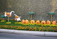 201310 018