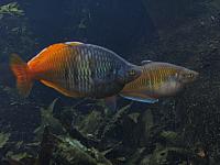 201310SW 936