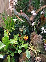 201312HawaiiA 192