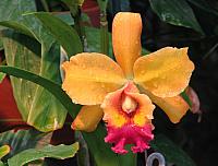 201312HawaiiA 193