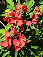 201312HawaiiA 196