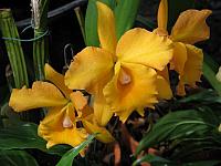 201312HawaiiA 203