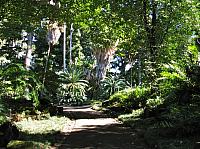 201312HawaiiA 210