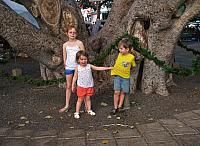 201312HawaiiA 404