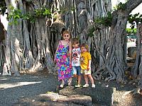 201312HawaiiA 535