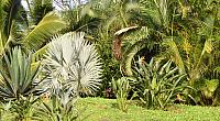 201312 Hawaii C 009