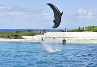 201312 Hawaii C 062