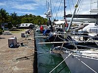 201402CaribK 445