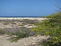 201402Carib 506