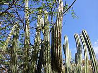 201402CaribK 240